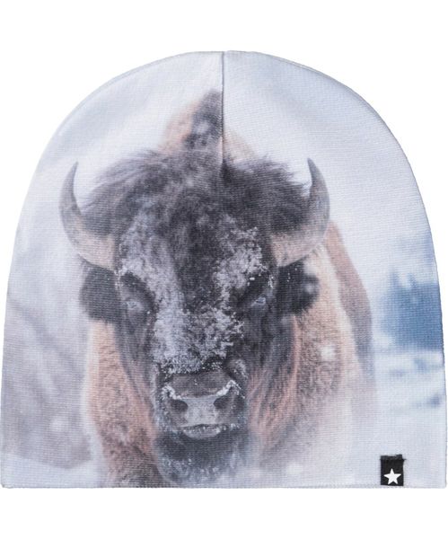 Molo lue og vanter Kaya bison close up