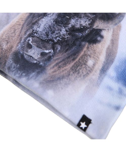 Molo lue og vanter Kaya bison close up